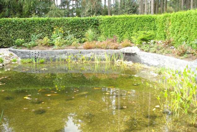 de muur loopt door in het water, a van spelde hovenier tilburg breda vught